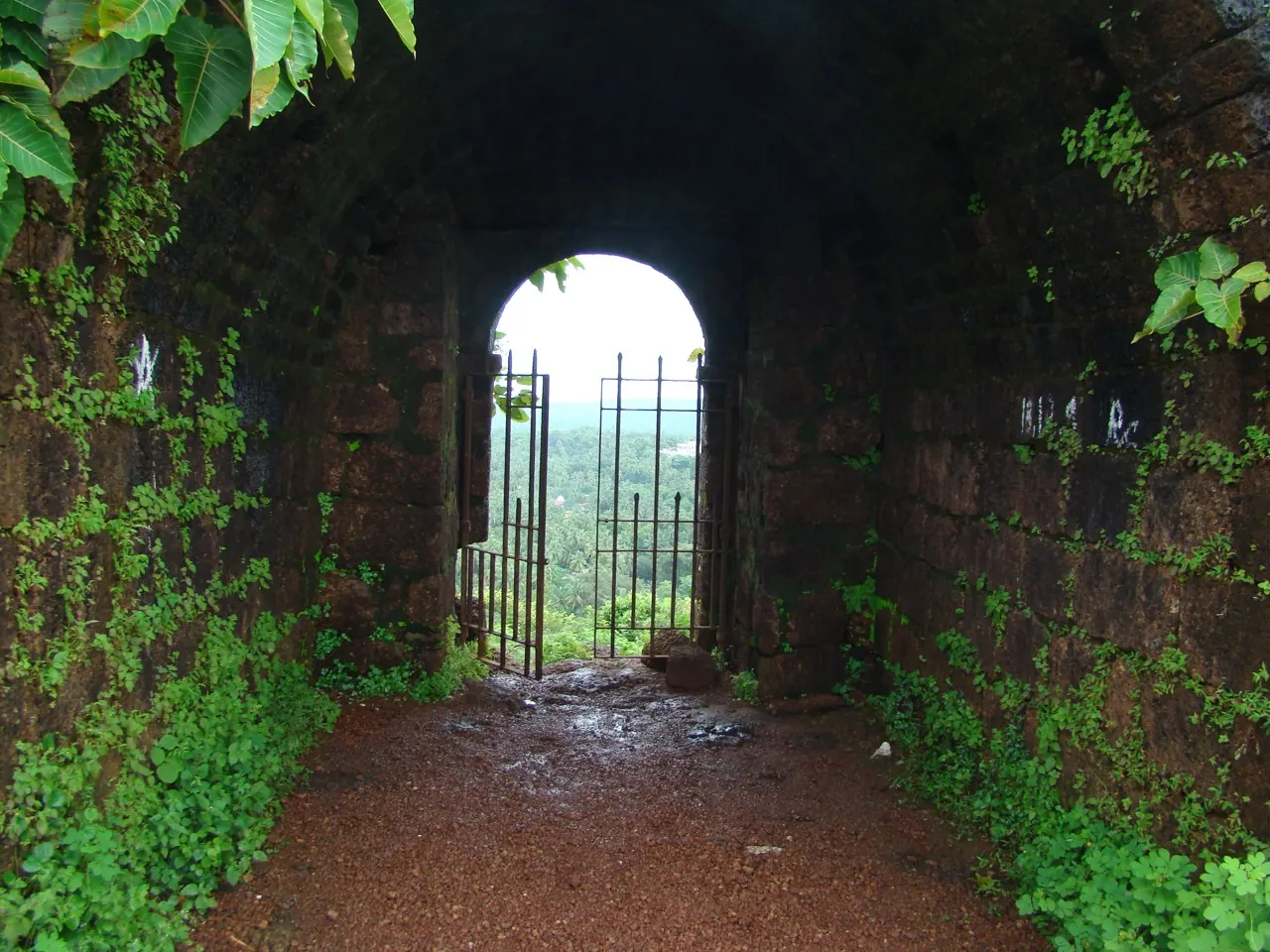 Moss-covered stone arch and greenery at Chapora Fort
