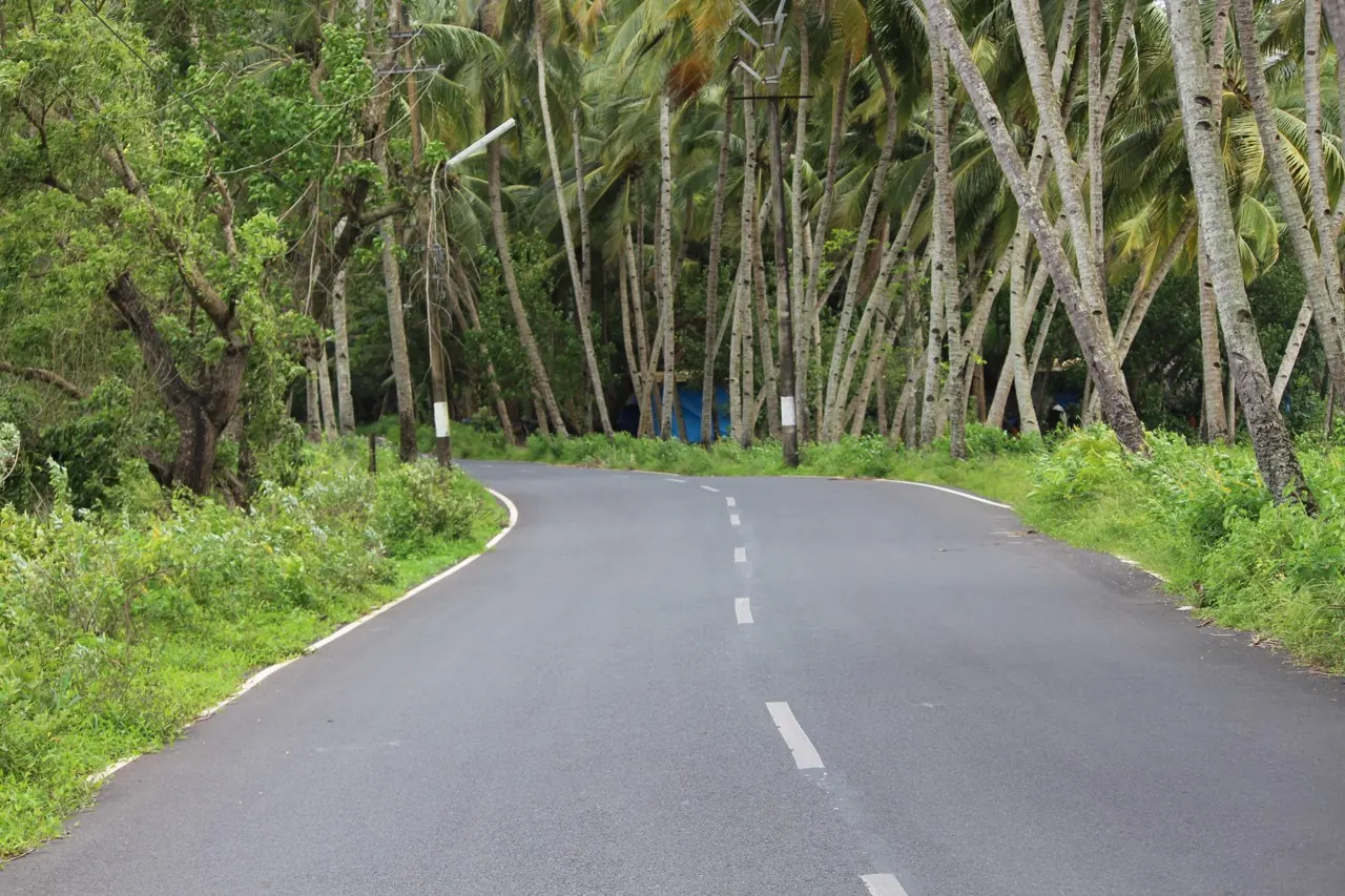 A quiet road curving through coconut palms in Goa