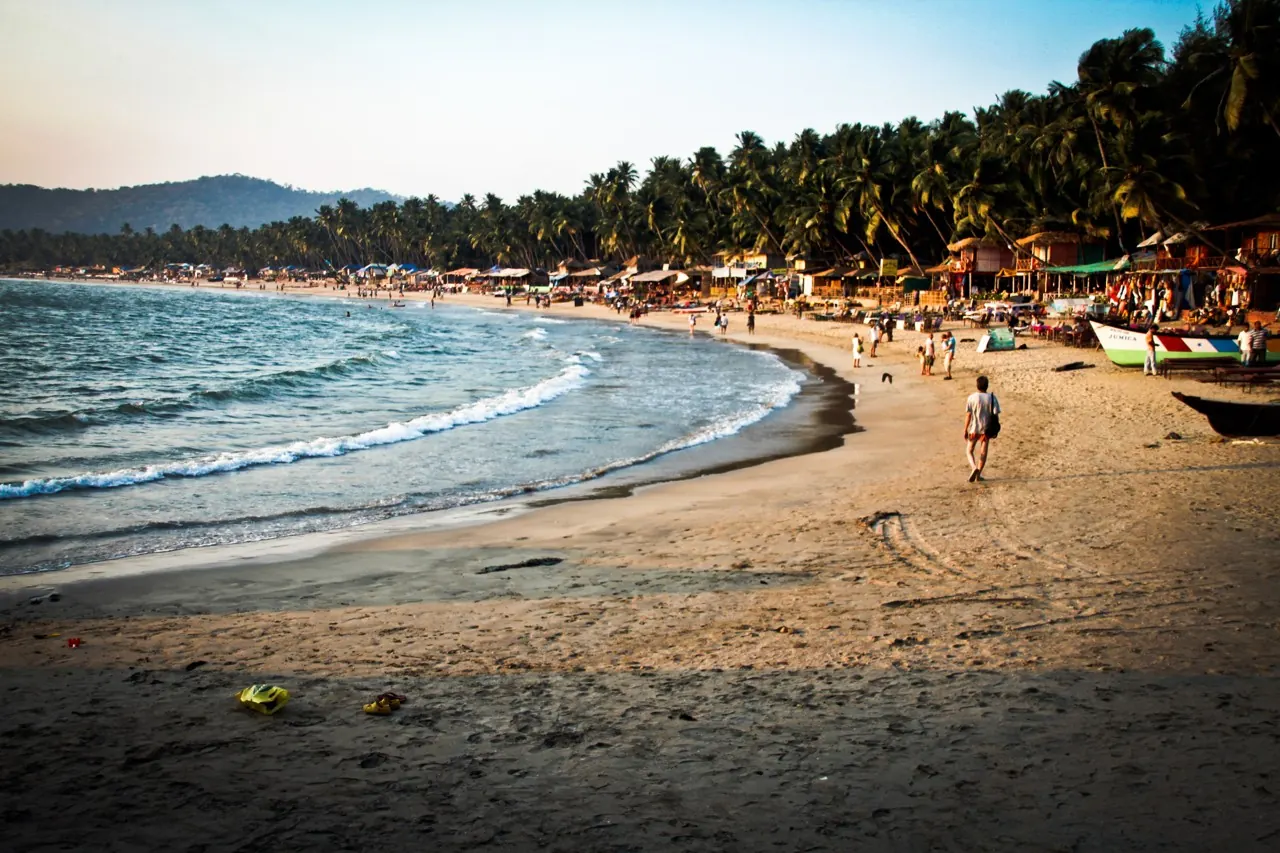 Golden sand and palms lining Palolem beach